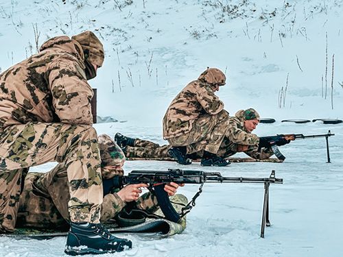 Уроки для пензенских «Тигров»