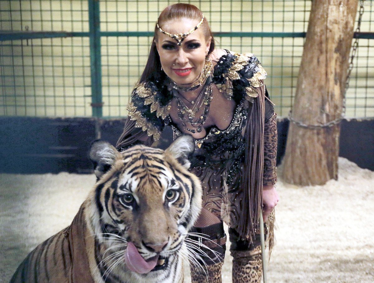 Принцесса с тиграми