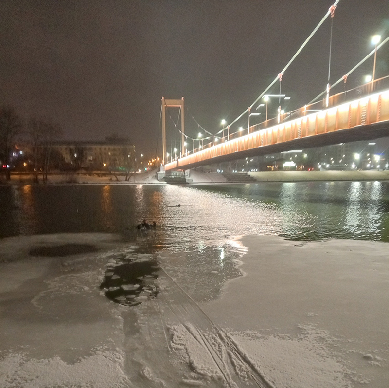 В Пензе спасли тонущего